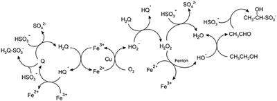 Formation and Accumulation of Acetaldehyde and Strecker Aldehydes during <mark class="highlighted">Red Wine</mark> Oxidation